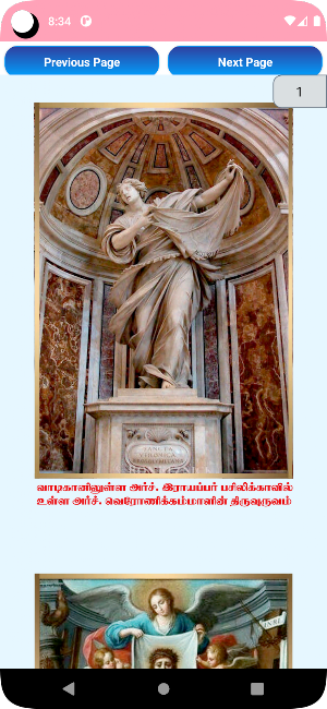 Holy Face Devotion Tamil Screenshot 2