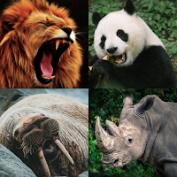 Guess the Animal - Animal Quiz