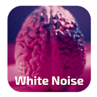 White Noise Brain
