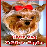 Goeie nag Lekker slapies