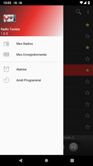 RADIO TUNISIE Screenshot 0