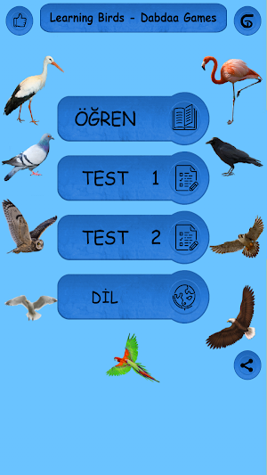 Birds - Learning Birds Screenshot 0