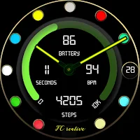 Color Dynamics FC Watch Face