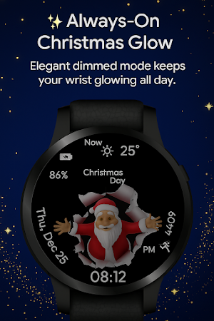 Christmas Countdown SantaWatch Screenshot 3