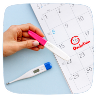 How To Use Ovulation Test