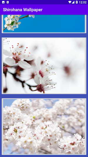 shirohana wp Screenshot 1