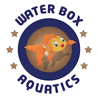 Water Box