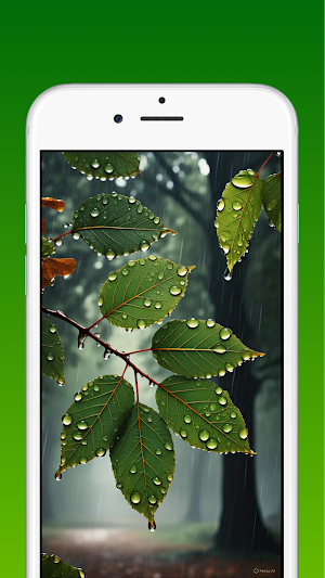 Leaves Wallpapers 4K HD Screenshot 1