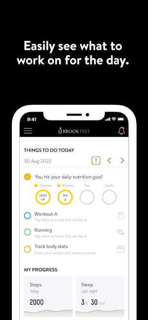 Brooktree Consulting Screenshot 1