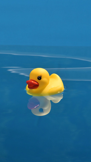 Rubber Duck Wallpaper Screenshot 3