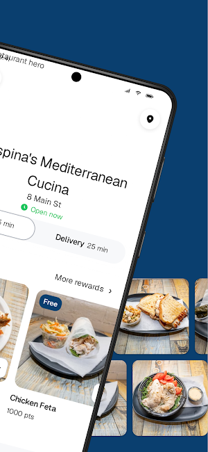Despina's Mediterranean Taste Screenshot 1