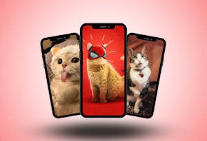 Cute Cat Wallpaper Screenshot 3