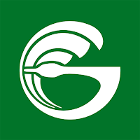 Goosehead Insurance