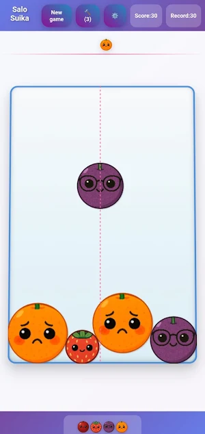 Salosuika Screenshot 0
