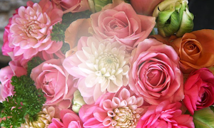 Flower Photo Frames Screenshot 3