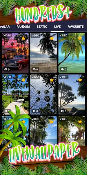 palm tree wallpaper Screenshot 2