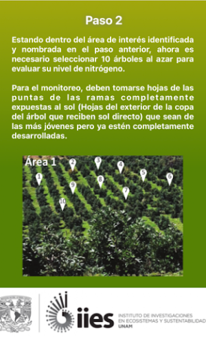 AppguacateN Screenshot 3