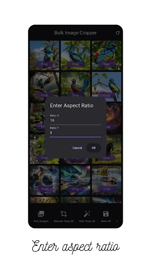 Bulk image cropper Screenshot 3