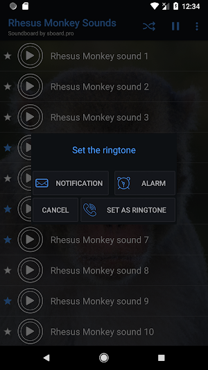 Rhesus Monkey Sounds ~ Sboard.pro Screenshot 2