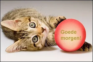 Goedemorgen Screenshot 0