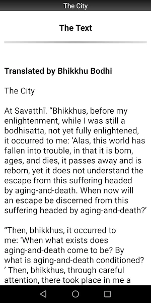 The City - Buddhism Screenshot 1