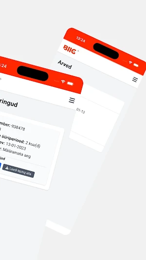 BIIG Screenshot 1