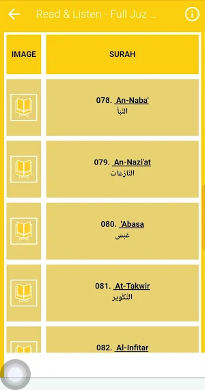 Ibrahim ElHaq Offline Quran Screenshot 3