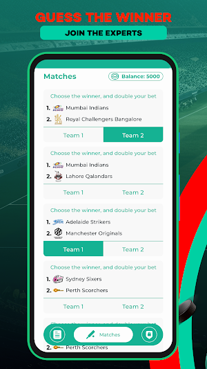 Pin up Way: Cricket Wager Screenshot 0