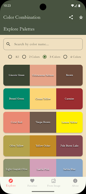 Style Palette: Color Outfits Screenshot 2