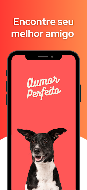 Aumor Perfeito Screenshot 0