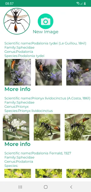Insect ID - AI insect identify Screenshot 2