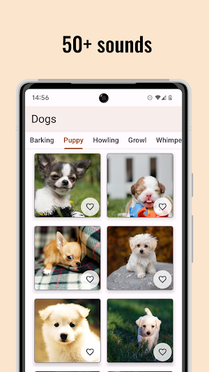 Dog Sounds screenshot 2