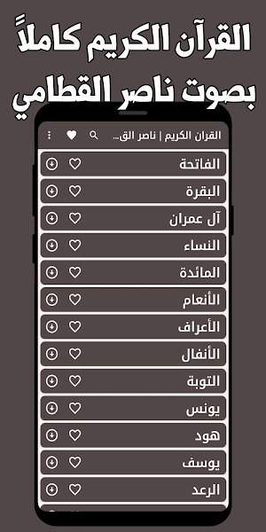 قران كريم ناصر القطامي بدون نت Screenshot 0
