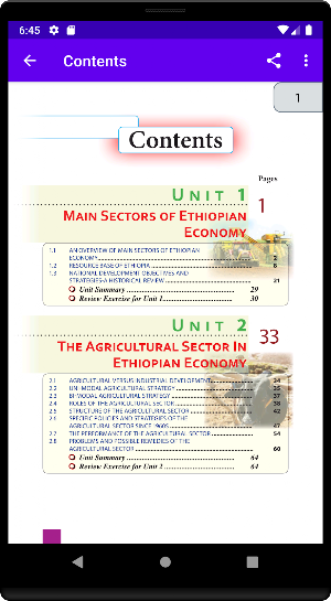 Economics Grade 12 Screenshot 2