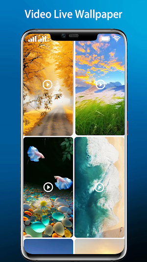 Video Live Wallpaper Day Night Screenshot 3