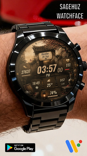 A169 Old Gate Watchface Screenshot 3