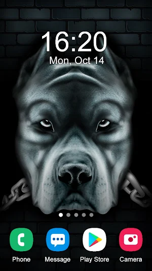 Pitbull Wallpaper 2024 Screenshot 2
