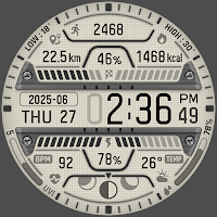 BRN160 Mono Digital Watch Face