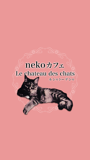 Le chateau des chats Screenshot 0