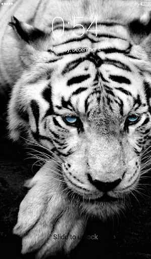 White Tigers Lock Screen Wallp Screenshot 0