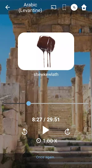 Learn Levantine Arabic. Speak Levantine Arabic. Screenshot 2