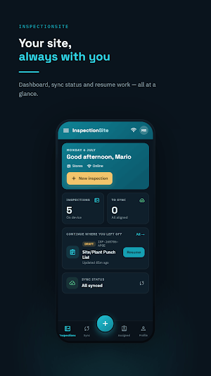 InspectionSite Screenshot 0