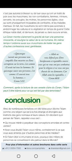 Brochure: idées fausses islam Screenshot 3
