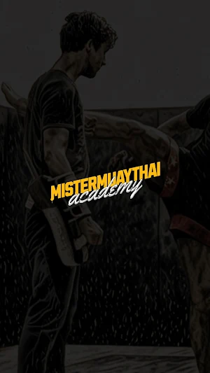 Mistermuaythai Academy Screenshot 0