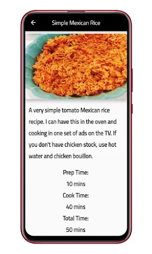 Mexican Rice Screenshot 3