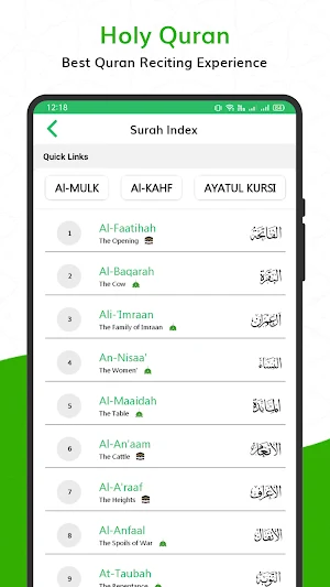 Holy Quran Read : قران الكريم Screenshot 1