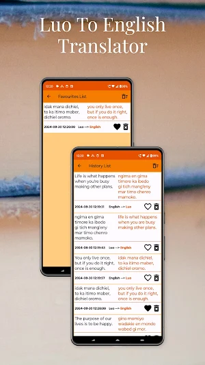 Luo To English Translator Screenshot 3
