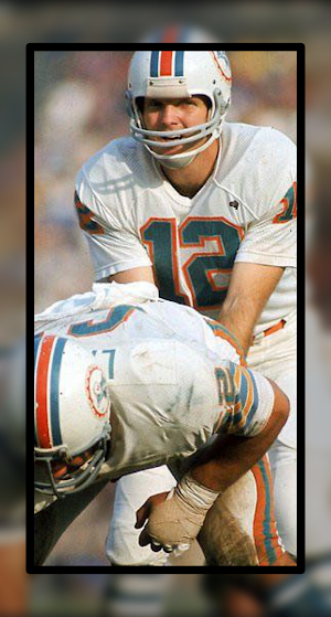 Wallpaper for Miami Dolphins Screenshot 3