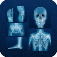 X-Ray Interpretation Guide