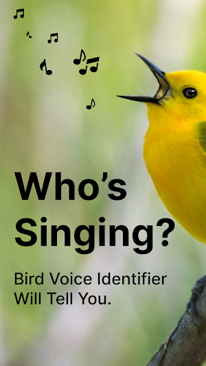Bird Song Identifier Screenshot 0